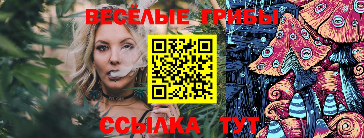 Псилоцибиновые грибы мухоморы Озёрск