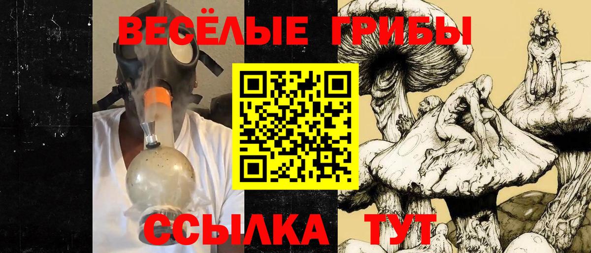 МЕФ Озёрск